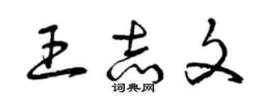 曾庆福王志文草书个性签名怎么写