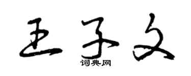 曾庆福王子文草书个性签名怎么写