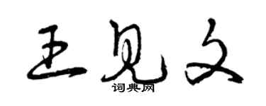 曾庆福王见文草书个性签名怎么写