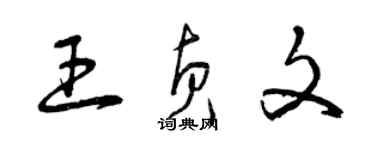 曾庆福王贞文草书个性签名怎么写