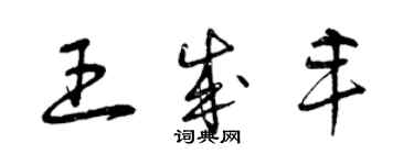 曾庆福王成丰草书个性签名怎么写