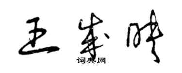 曾庆福王成映草书个性签名怎么写