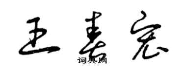 曾庆福王春宏草书个性签名怎么写