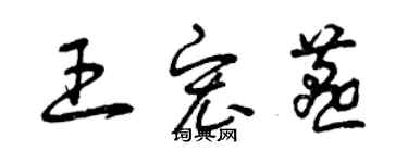 曾庆福王宏燕草书个性签名怎么写