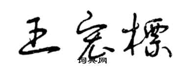 曾庆福王宏标草书个性签名怎么写