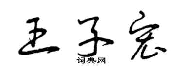 曾庆福王子宏草书个性签名怎么写