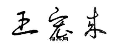 曾庆福王宏来草书个性签名怎么写