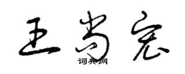 曾庆福王尚宏草书个性签名怎么写