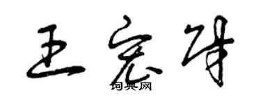 曾庆福王宏财草书个性签名怎么写