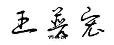 曾庆福王普宏草书个性签名怎么写