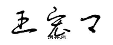 曾庆福王宏卿草书个性签名怎么写