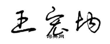 曾庆福王宏均草书个性签名怎么写