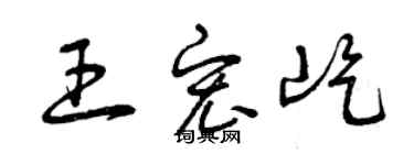曾庆福王宏屹草书个性签名怎么写