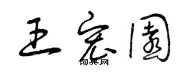 曾庆福王宏园草书个性签名怎么写