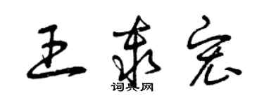曾庆福王秦宏草书个性签名怎么写