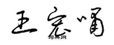 曾庆福王宏啸草书个性签名怎么写