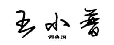 朱锡荣王小普草书个性签名怎么写