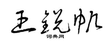 曾庆福王锐帆草书个性签名怎么写
