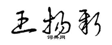 曾庆福王扬新草书个性签名怎么写