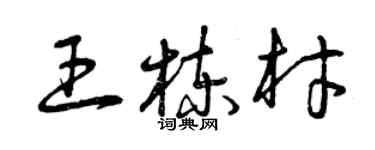 曾庆福王栋材草书个性签名怎么写