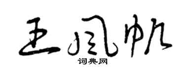 曾庆福王风帆草书个性签名怎么写