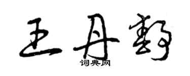 曾庆福王丹静草书个性签名怎么写