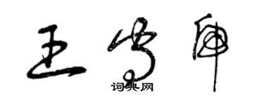 曾庆福王守虎草书个性签名怎么写