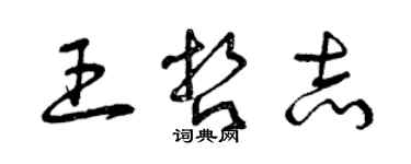 曾庆福王哲志草书个性签名怎么写
