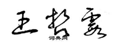 曾庆福王哲霞草书个性签名怎么写