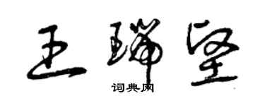 曾庆福王瑞坚草书个性签名怎么写