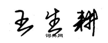 朱锡荣王生耕草书个性签名怎么写