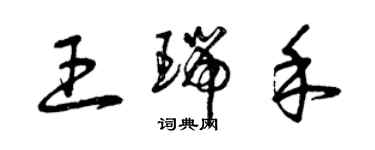 曾庆福王瑞禾草书个性签名怎么写