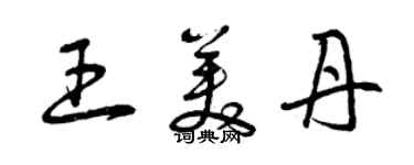 曾庆福王美丹草书个性签名怎么写
