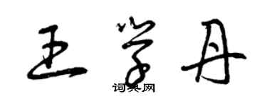 曾庆福王学丹草书个性签名怎么写