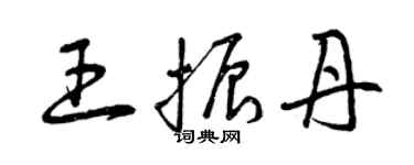 曾庆福王振丹草书个性签名怎么写