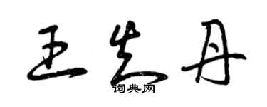 曾庆福王知丹草书个性签名怎么写