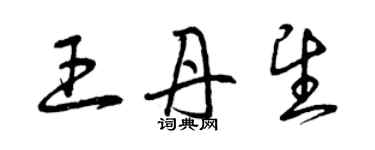 曾庆福王丹望草书个性签名怎么写