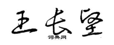 曾庆福王长坚草书个性签名怎么写