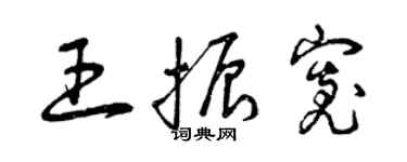曾庆福王振宽草书个性签名怎么写