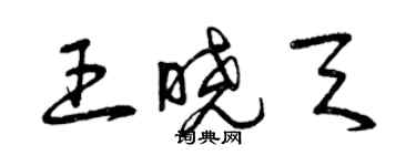 曾庆福王晓天草书个性签名怎么写