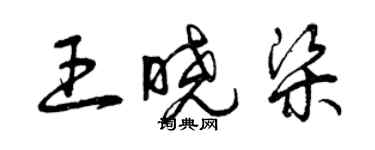曾庆福王晓梁草书个性签名怎么写