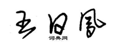 朱锡荣王日凤草书个性签名怎么写