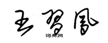 朱锡荣王习凤草书个性签名怎么写
