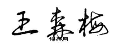 曾庆福王森梅草书个性签名怎么写