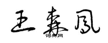 曾庆福王森凤草书个性签名怎么写