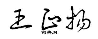 曾庆福王正扬草书个性签名怎么写