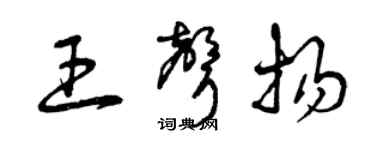 曾庆福王声扬草书个性签名怎么写