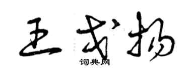 曾庆福王戈扬草书个性签名怎么写