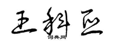 曾庆福王科亚草书个性签名怎么写