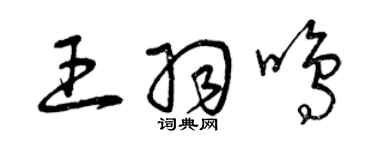 曾庆福王羽鸣草书个性签名怎么写